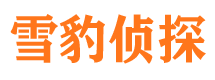 麦积区外遇调查取证